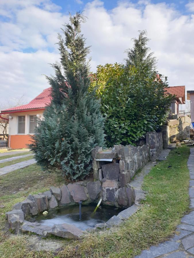 Casa Cu Fantana Villa Borlesti Exterior photo
